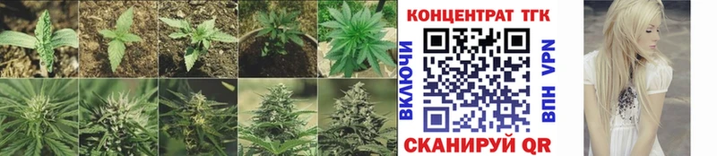 ТГК вейп с тгк  МЕГА как войти  Ливны  продажа наркотиков 