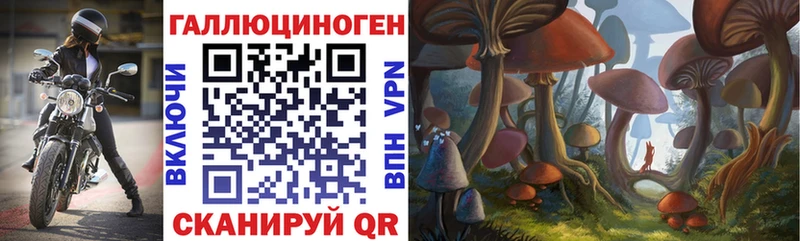 где продают наркотики  Ливны  Галлюциногенные грибы мицелий 